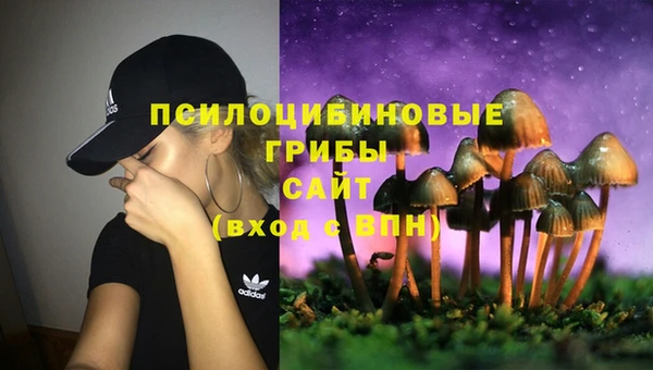 дмт Заволжье