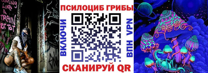 Купить  Славянск-на-Кубани  Псилоцибиновые грибы Psilocybe 